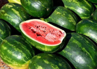 吃瓜娱乐圈菜,揭秘明星幕后故事