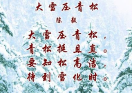 青松的诗句,岁月静好，诗意盎然